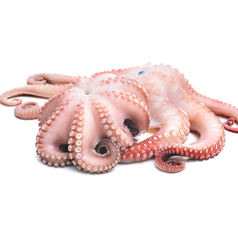 Ингредиент фото12